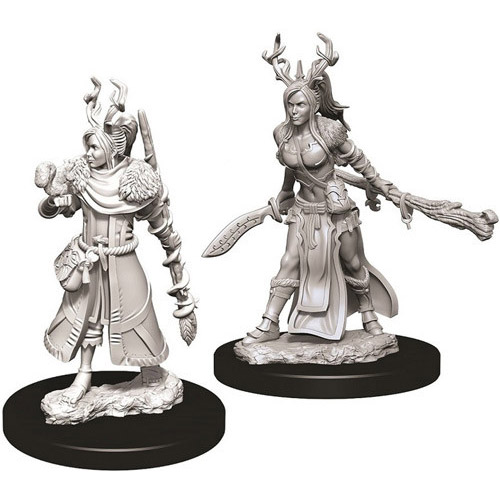 d&d-miniatures-wave-09-human-druid-f