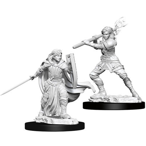 d&d-miniatures-wave-10-human-paladin-f